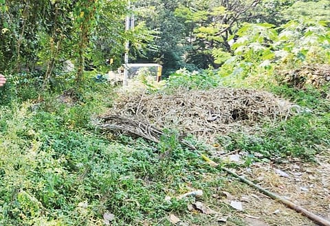 हिंगण्यातील जाॉगिंग ट्रॅक दलदलीत!