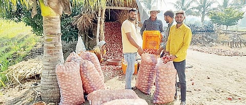 मंचर : शेतकर्यांनी बराकीतील कांदा काढला विक्रीसाठी