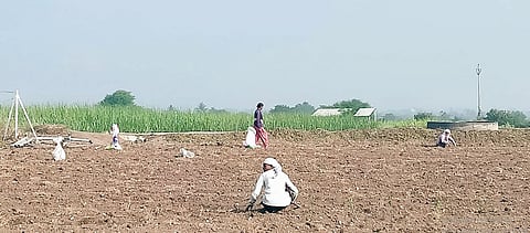 पारगाव : काढणी झालेल्या शेतातून पुन्हा काढले जातात बटाटे