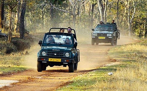 Tadoba-Andhari National Park