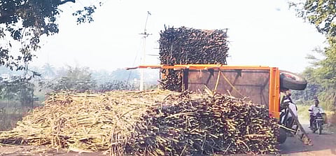 वाघळवाडी येथे ऊस ट्रॉली पलटी; निरा-बारामती रस्त्यावर अपघात