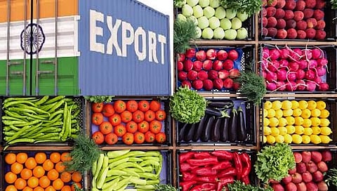 कृषी, प्रक्रियाकृत खाद्य निर्यातीत वाढ; सहामाहीत ‘अपेडा’ची १३ हजार दशलक्ष डॉलरची निर्यात