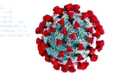 पुणे : जिनोम सिक्वेन्सिंगनेे लाट रोखता आली असती