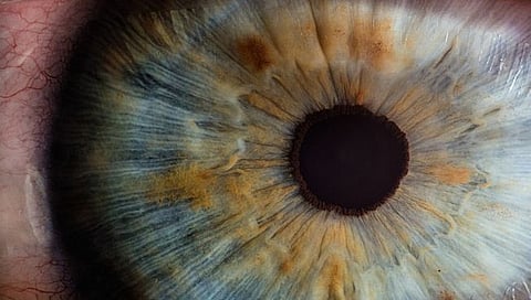 World Diabetes Day : जाणून घ्या, तुमच्या डोळ्यांवर परिणाम करणारी मधुमेहाची लक्षणे