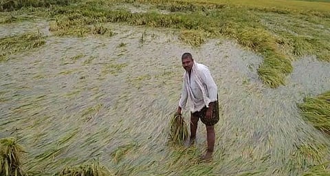 पावसामुळे नुकसान झालेल्या शेतकऱ्यांना मदत मिळणार, मंत्रिमंडळ बैठकीत निर्णय