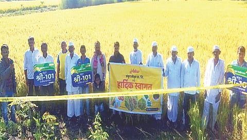 पिंपळगाव मोर : येथे श्री. बेंडकोळी यांच्या शेतावर पीक पाहणी करताना शेतकरी. समवेत कंपनी प्रतिनिधी.