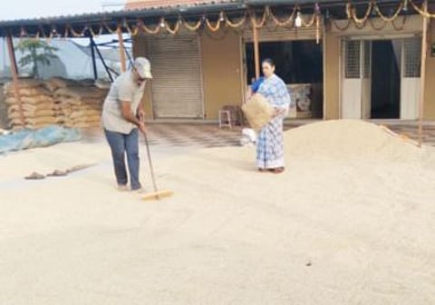 मुळशीतील भात उत्पादक मेटाकुटीला उत्पादन खर्च गेला आवाक्याबाहेर