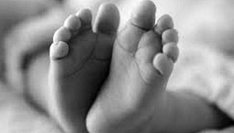 नागपुरातील बाळ तस्करी रॅकेटचा पर्दाफाश, 20 बाळांची विक्री झाल्याचे उघड