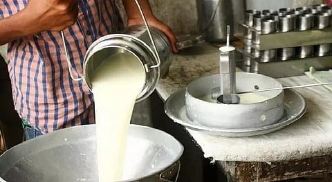 पवन मावळात दुग्धव्यवसायाला सुगीचे दिवस