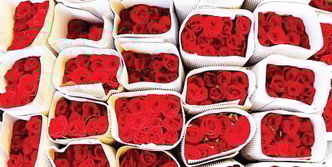 पुणे : लग्नसराईमुळे कटफ्लॉवरला मागणी