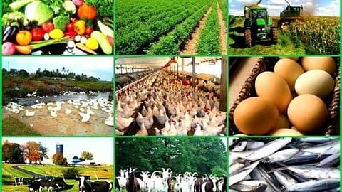 बारामती : अन्नप्रक्रिया उद्योगासाठी 35 टक्क्यांपर्यंत अनुदान