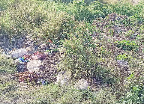 नगर : कचरा ढीग, उघड्या गटारी अन् पथदिवे बंद ! जेऊरची विदारक परिस्थिती