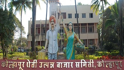 कोल्हापूर बाजार समिती निवडणूक : आडते व्यापारी गटातून सत्तारूढ आघाडीचे वैभव सावर्डेकर तर विरोधी आघाडीचे नंदकुमार वळंजू विजयी