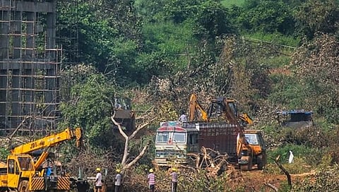 Mumbai Metro Carshed : आरे वसाहतीतील ८४ झाडे कापण्याची परवानगी द्या; राज्य सरकारची सर्वोच्च न्यायालयात धाव