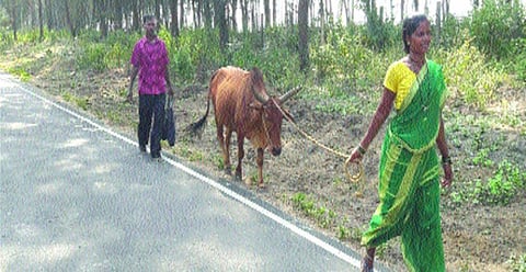 पारगाव : काम नसल्याने शेतमजूर माघारी फिरण्याच्या तयारीत