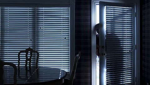 चोर घरात शिरला