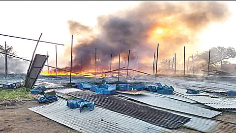 वणी : औताळे येथील द्राक्ष व टोमॅटो क्रेटच्या गोदामाला लागलेली भीषण आग.(छाया : अनिल गांगुर्डे)