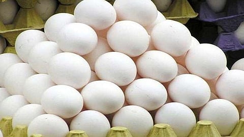 Egg Price Hike