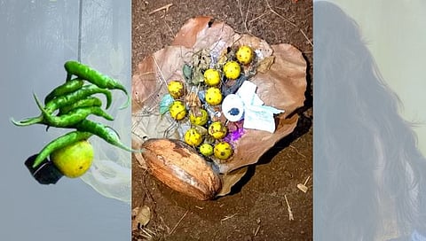 Gram Panchayat Election of Kolhapur : लिंबू मिरचीच्या करणीने फिरेल सत्तेची खुर्ची ?