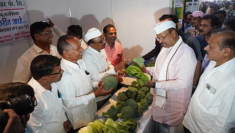 नाशिक : येथील डोंगरे वसतिगृह येथे आयोजित कृषी महोत्सवाच्या भेटीदरम्यान स्टॉलधारकांशी संवाद साधताना कृषिमंत्री अब्दुल सत्तार.