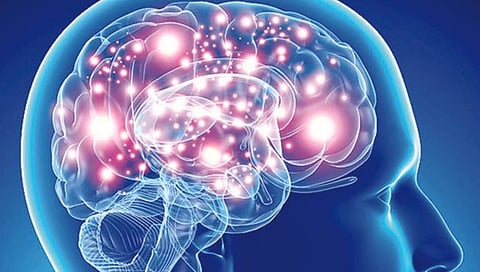 Epilepsy Symptoms : ‘अपस्मार’वर वेळीच उपचार आवश्यक