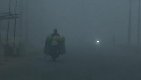 दिल्ली गारठली: तापमान ५.३ अंशावर ; शाळांच्या वेळापत्रकात बदल (Cold Wave In North India)