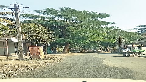 नाशिक : सातपूर, सद्गुरूनगर भागातील रस्त्यांवरील खड्ड्यांत टाकलेली कच.