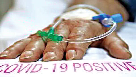 नाशिक : जिल्ह्यात दोन दिवसांत आढळले 12 कोरोनाबाधित