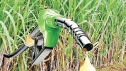 कोल्हापूर : इथेनॉलपोटी कर्नाटकातील ऊस उत्पादकांना टनामागे जादा 50 रुपये!