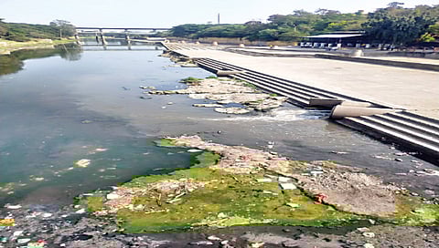 नाशिक : नदी- नाल्यांच्या प्रदूषणमुक्तीसाठी आयआयटी पवई देणार आराखडा