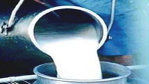 सांगली : ‘एफआरपी’तूनच मिळेल दुधाला दर !