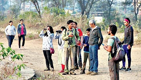 कोल्हापूर : जिल्ह्यात 74 प्रजातींच्या 514 पक्ष्यांची नोंद; 12 प्रजातींचे स्थलांतरित पक्षी