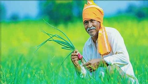 केंद्र सरकारचा ‘सेंद्रिय’ शेतीवर भर; ‘पीकेव्हीवाय’ योजने अंतर्गत १६.१९ लाख शेतकऱ्यांना लाभ