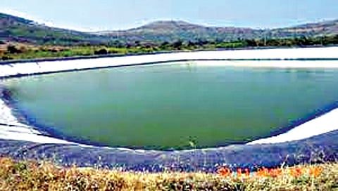 नाशिक : सामूहिक, वैयक्तिक शेततळ्यांसाठी ऑनलाइन अर्जाची संधी