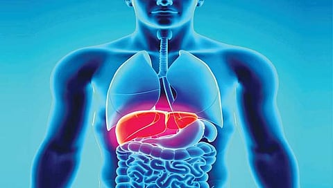 Hepatitis : ‘हिपेटायटिस’चे प्रकार आणि कारणे जाणून घ्या सविस्तर