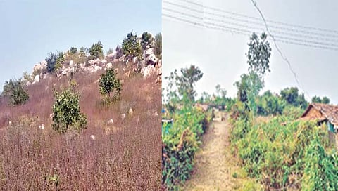 काळ्या सोन्याच्या चंद्रपूर, उमरेडला मिळणार सोन्याची झळाळी!