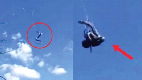 कोळ्याने केली अजगराची शिकार!