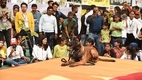 मिस्तुरा फेस्ट,www.pudhari.news