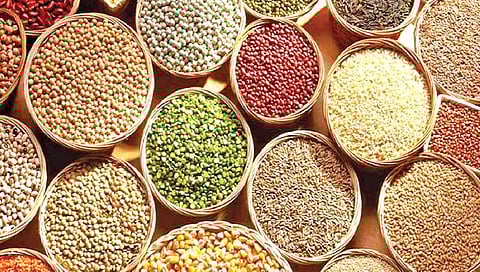 कडधान्यातून टिकवा सुपिकता