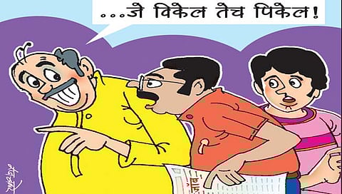 लवंगी मिरची : विकते ते पिकवा