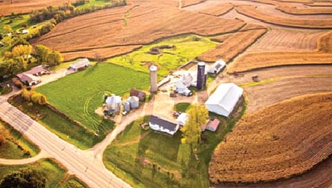 शेतात सापडली चौदाव्या शतकातील अंगठी