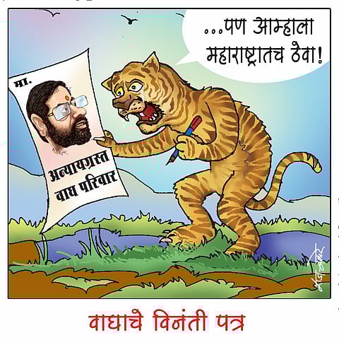 लवंगी मिरची : वाघाचे विनंती पत्र