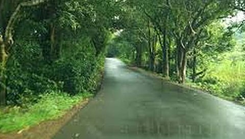 कोल्हापूर-गगनबावडा रस्ता बनतोय मृत्यूचा सापळा