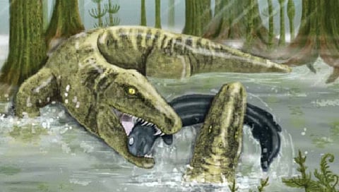 32 कोटी 80 लाख वर्षांपूर्वीचा ‘महाशिकारी’!