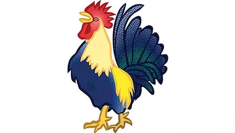 कोंबड्यांना अटक