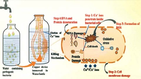 water purifire : तांब्याचा वापर करून भारतीय संशोधकांनी विकसित केले पाणी शुद्ध करणारे नवे उपकरण