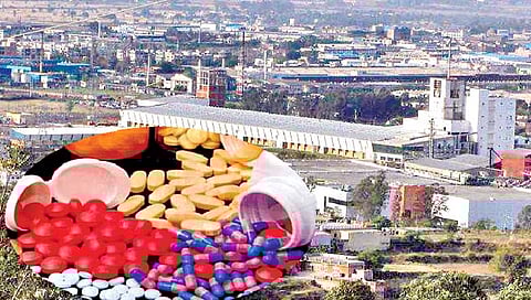 राज्यात लवकरच बल्क ड्रग्ज पार्क