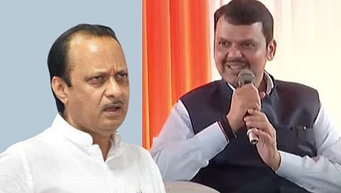 Anjali Damania : अजित पवार भाजप बरोबर जाणार; अंजली दमानिया यांच्या ट्विटने खळबळ