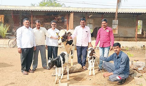 कुसेगावला जुळ्या कालवडींना जन्म