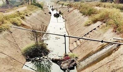 मंचर : सल्लागार समिती बैठकीला मुहूर्त मिळेना; पिके पाण्याअभावी धोक्यात